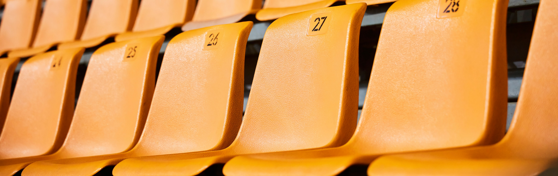 FWJ1972 Unisex Undefeated Tee